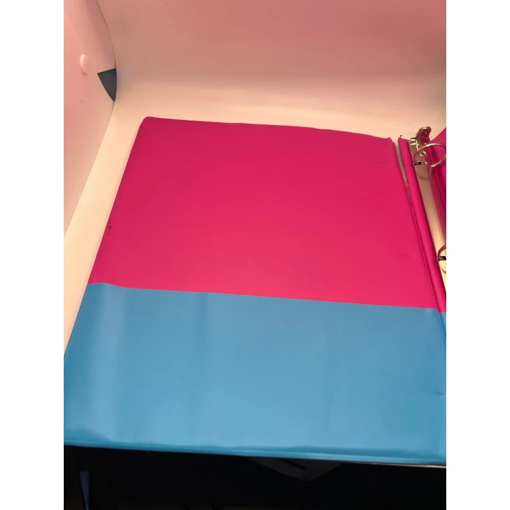 Lisa Frank 3 Ring Binder 30 Happy Birthday Markie Celeste Folder Dancing Dolphin
